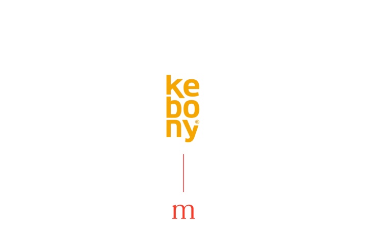 Merodis assists Kebony AS with its EUR 10m financing round.